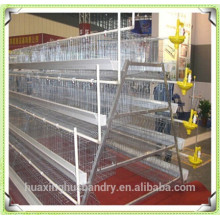 Day Old Layer Chicks Cage of battery cage